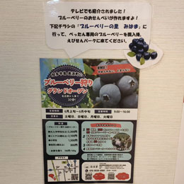 「ブルーベリーの里みはまさん」とのコラボ
